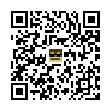 skins.qr_code_alt