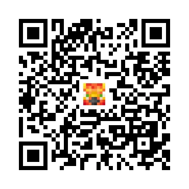 skins.qr_code_alt