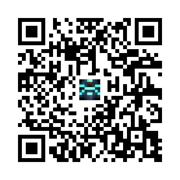 skins.qr_code_alt
