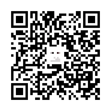 skins.qr_code_alt