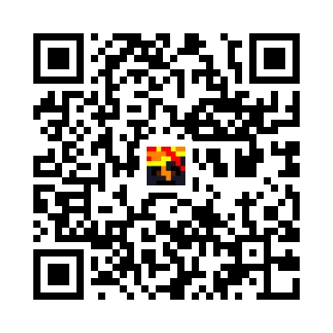 skins.qr_code_alt
