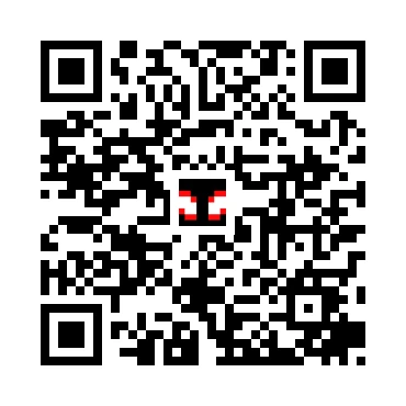 skins.qr_code_alt