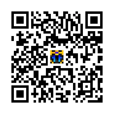 skins.qr_code_alt
