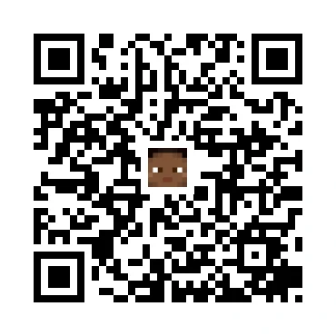 skins.qr_code_alt