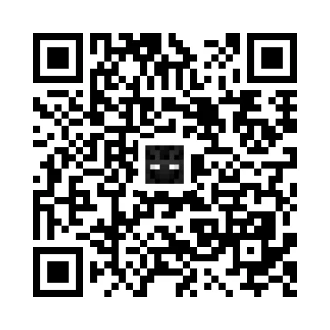 skins.qr_code_alt