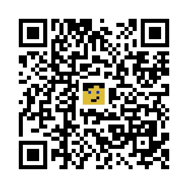 skins.qr_code_alt