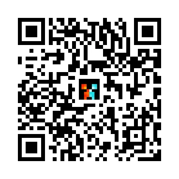 skins.qr_code_alt