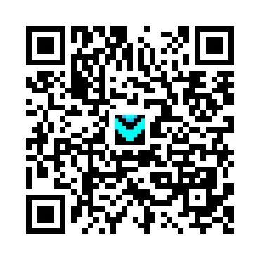 skins.qr_code_alt