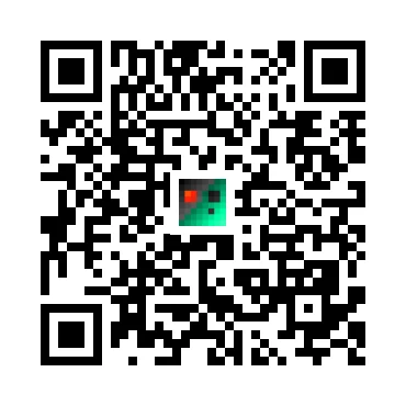 skins.qr_code_alt