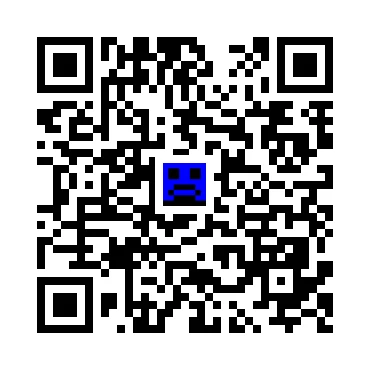 skins.qr_code_alt