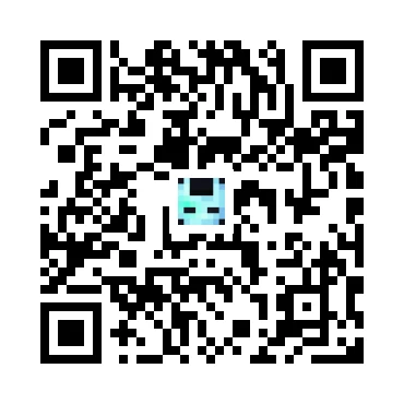 skins.qr_code_alt