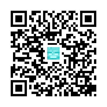 skins.qr_code_alt