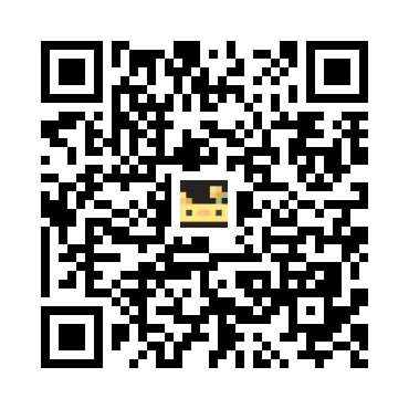 skins.qr_code_alt
