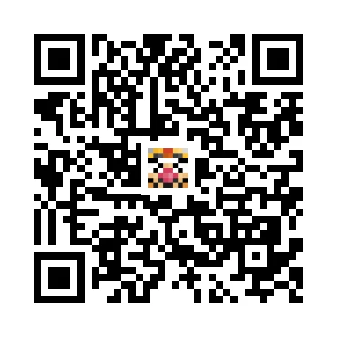 skins.qr_code_alt