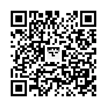 skins.qr_code_alt