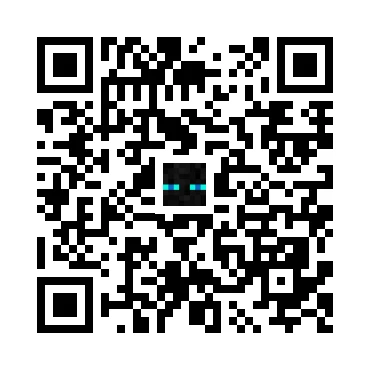 skins.qr_code_alt