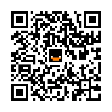 skins.qr_code_alt