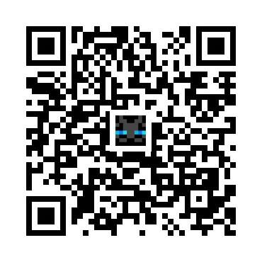 skins.qr_code_alt