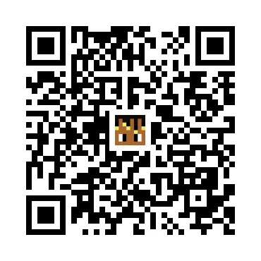 skins.qr_code_alt