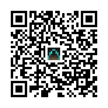 skins.qr_code_alt