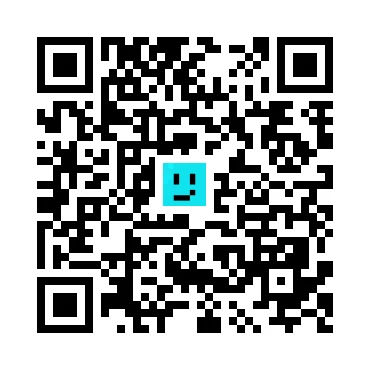 skins.qr_code_alt