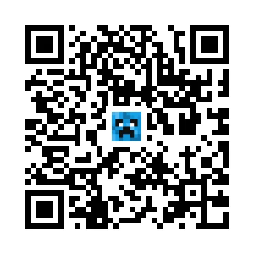 skins.qr_code_alt
