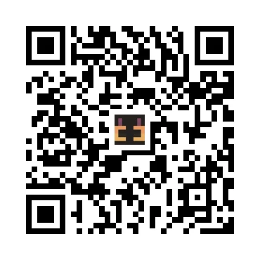 skins.qr_code_alt
