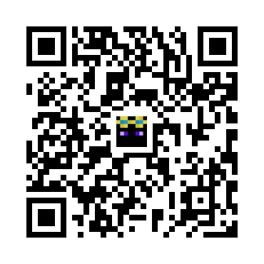 skins.qr_code_alt