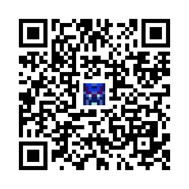 skins.qr_code_alt