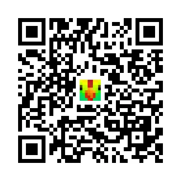 skins.qr_code_alt