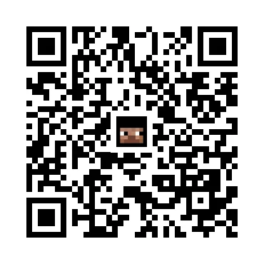 skins.qr_code_alt