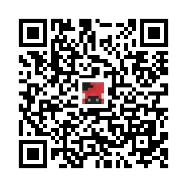 skins.qr_code_alt