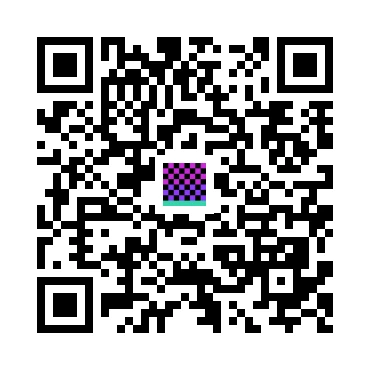skins.qr_code_alt