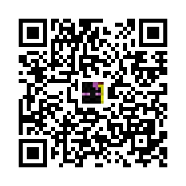 skins.qr_code_alt