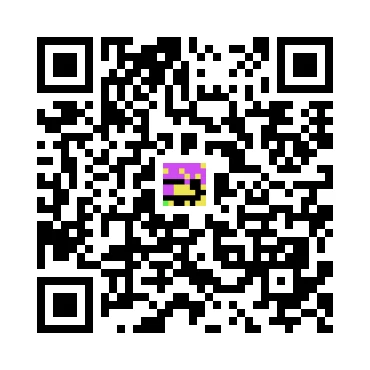skins.qr_code_alt