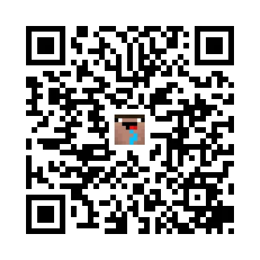 skins.qr_code_alt
