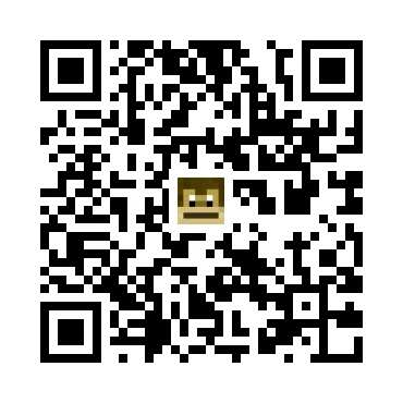 skins.qr_code_alt