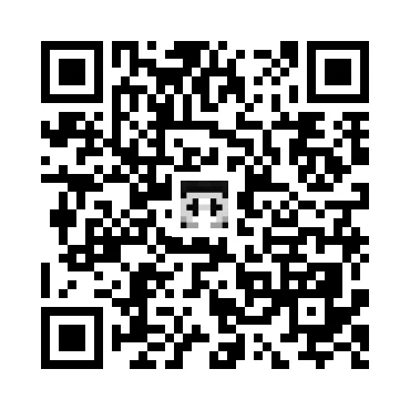 skins.qr_code_alt