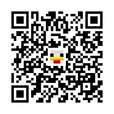 skins.qr_code_alt