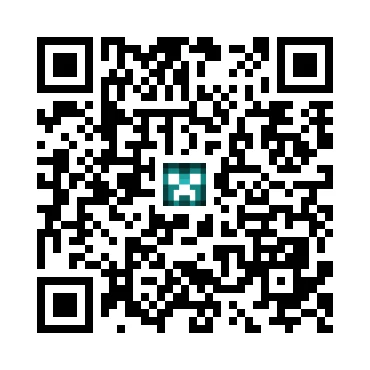 skins.qr_code_alt
