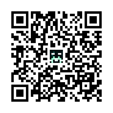 skins.qr_code_alt
