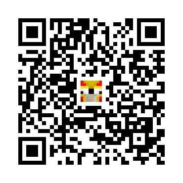 skins.qr_code_alt