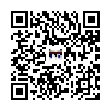 skins.qr_code_alt