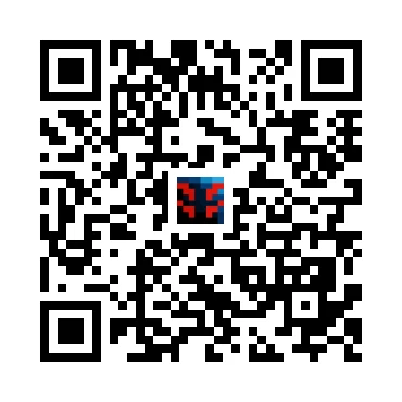skins.qr_code_alt
