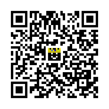 skins.qr_code_alt