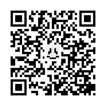 skins.qr_code_alt
