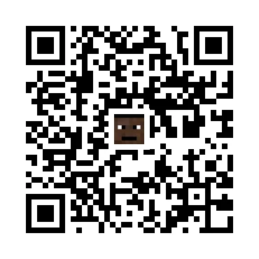 skins.qr_code_alt