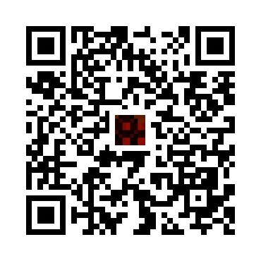 skins.qr_code_alt