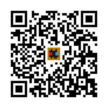 skins.qr_code_alt