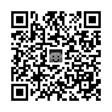 skins.qr_code_alt